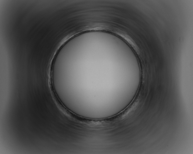 X0000099570850200805160724