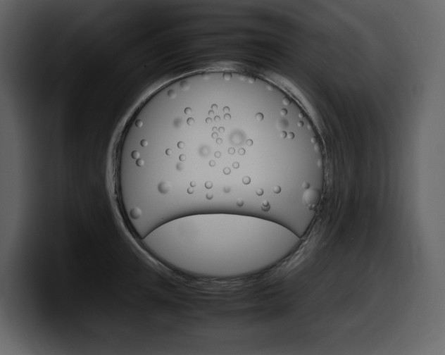 X0000099570851200805160724