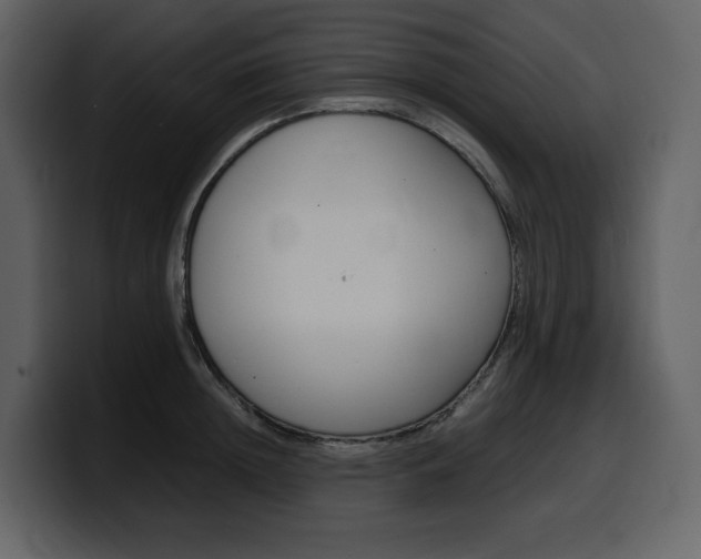 X0000099570852200805160724
