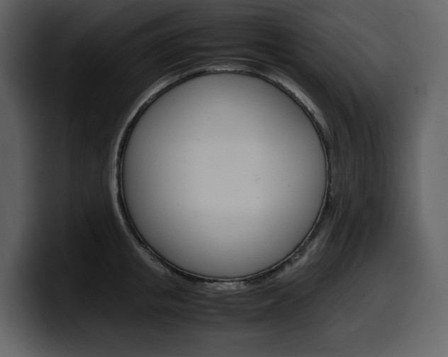 X0000099570853200805160724