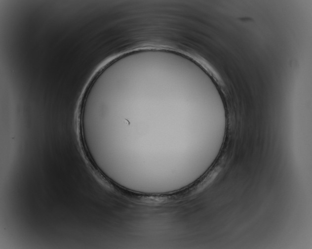 X0000099570854200805160724