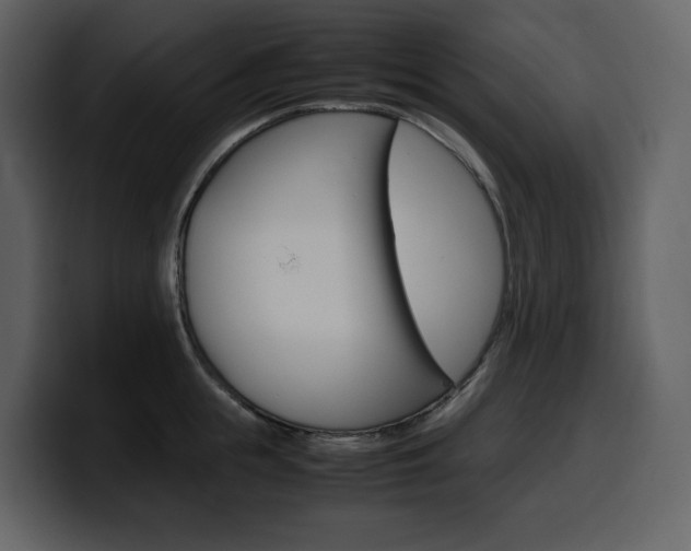 X0000099570855200805160724