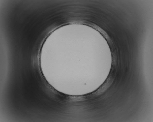 X0000099570856200805160724