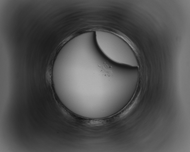 X0000099570857200805160724