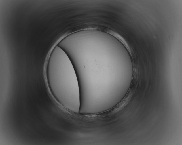 X0000099570859200805160724