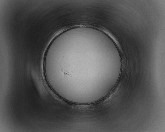 X0000099570861200805160724