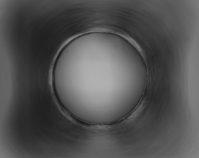 X0000099570862200805160724