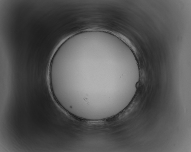 X0000099570863200805160724