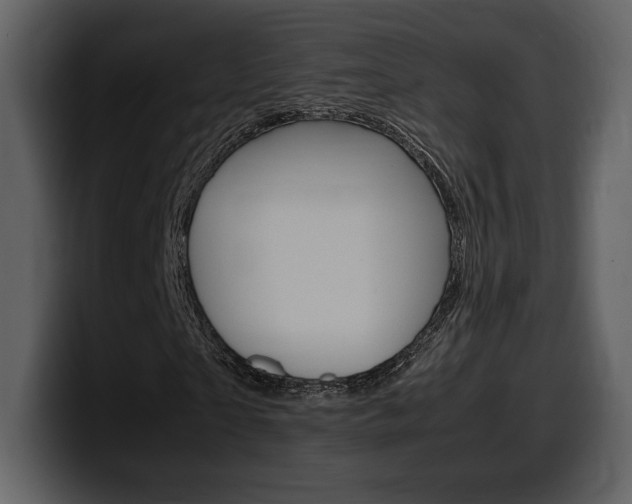 X0000099570865200805160724