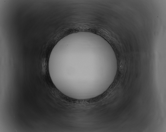 X0000099570866200805160724