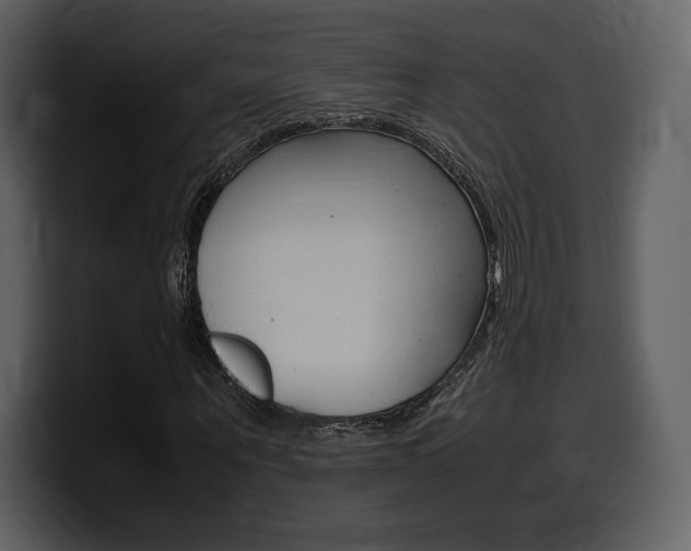 X0000099570867200805160724
