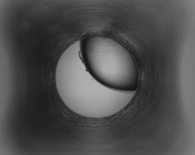 X0000099570868200805160724