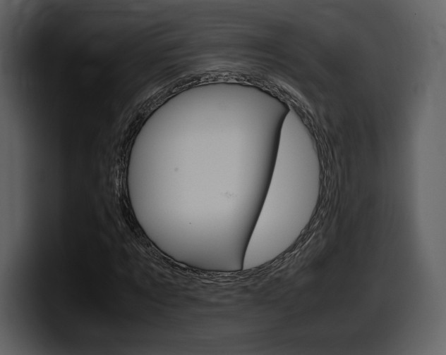 X0000099570869200805160724