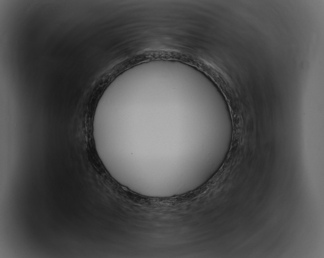 X0000099570870200805160724
