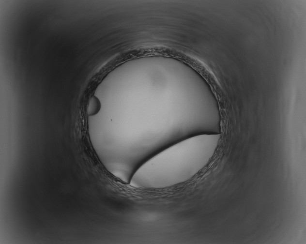 X0000099570871200805160724