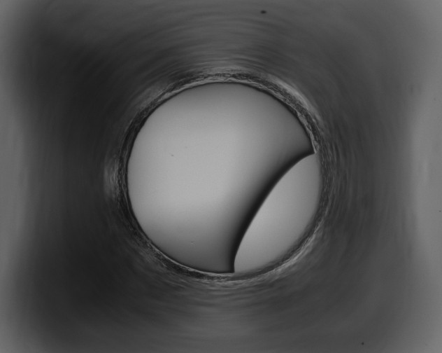X0000099570873200805160724