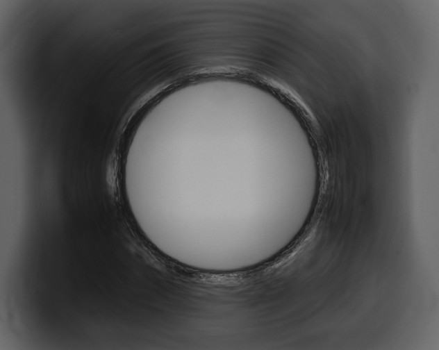 X0000099570874200805160724