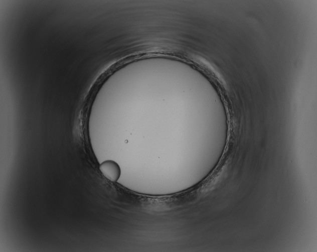 X0000099570875200805160724