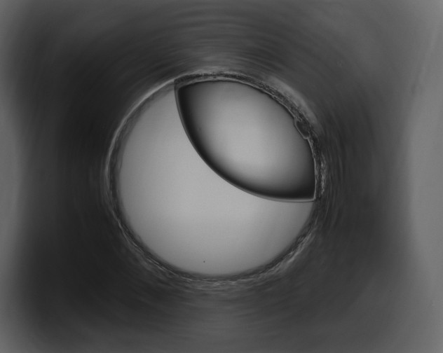 X0000099570876200805160724