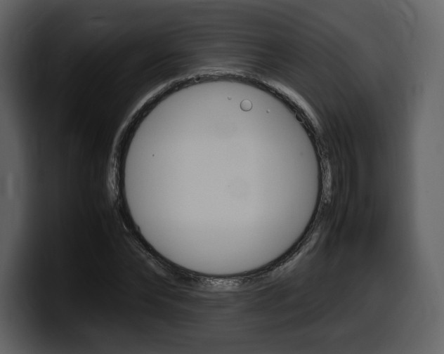 X0000099570878200805160724