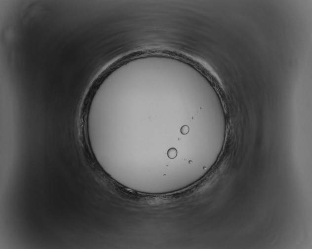 X0000099570879200805160724