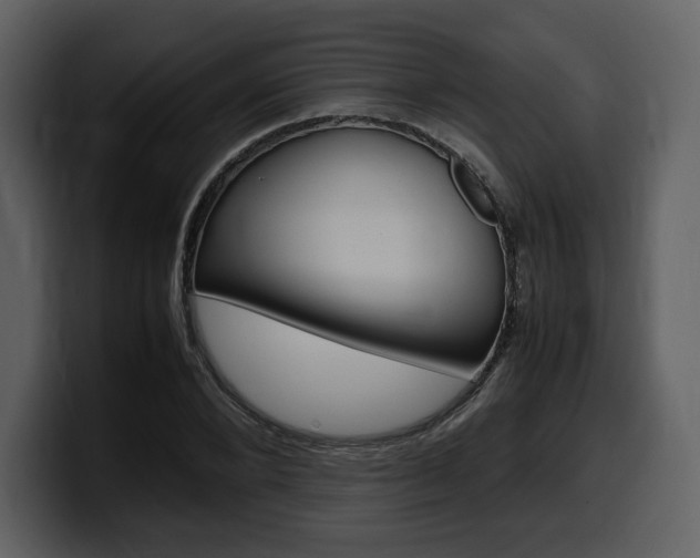 X0000099570880200805160724
