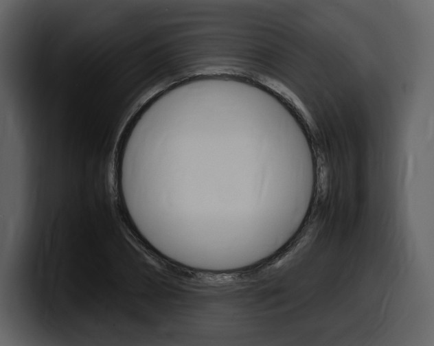 X0000099570882200805160723
