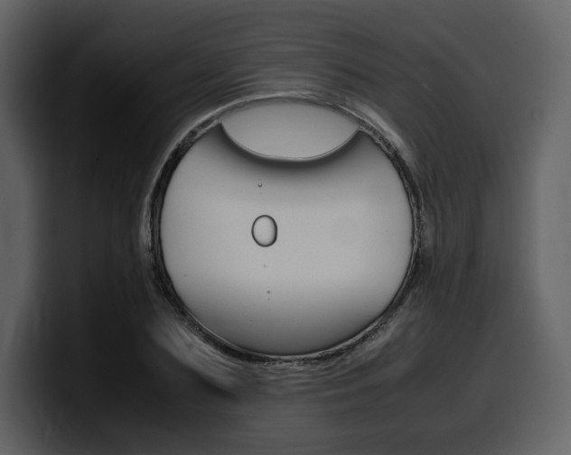 X0000099570883200805160723