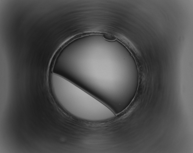 X0000099570884200805160723