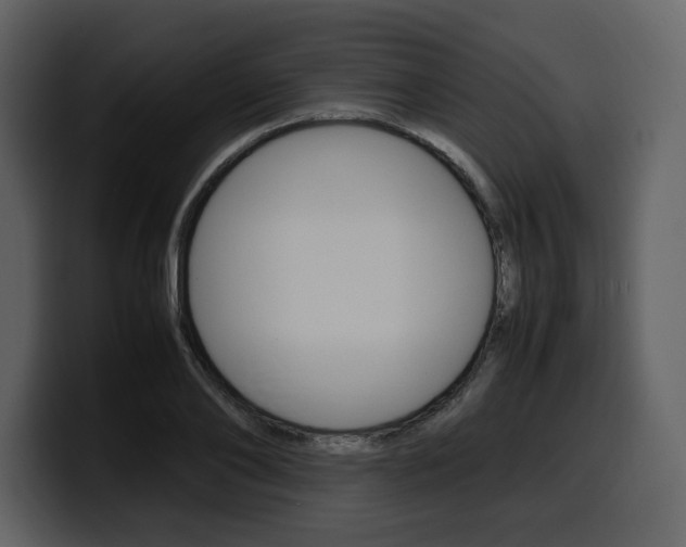 X0000099570886200805160723