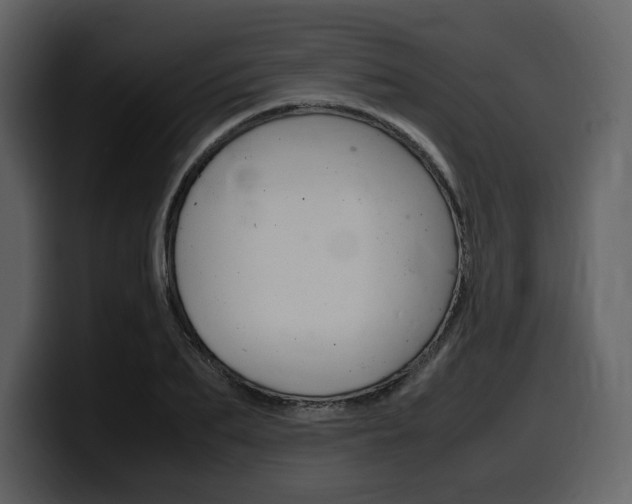 X0000099570887200805160723