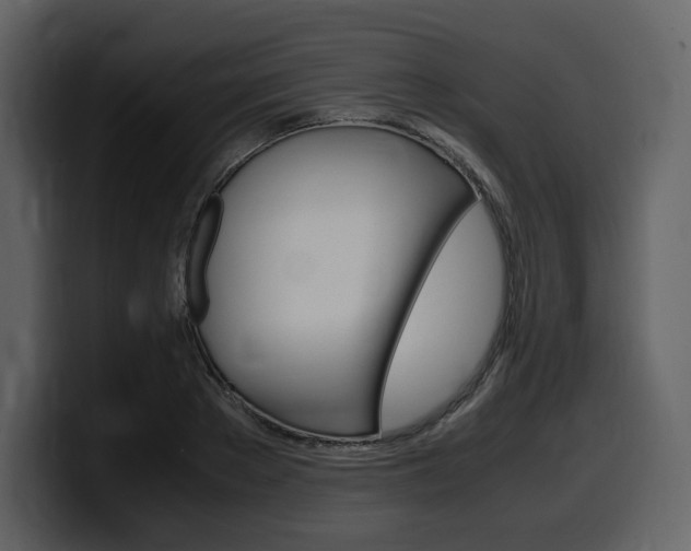 X0000099570889200805160723
