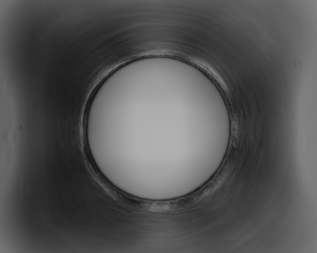 X0000099570890200805160723