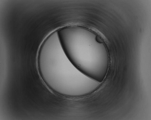 X0000099570894200805160723