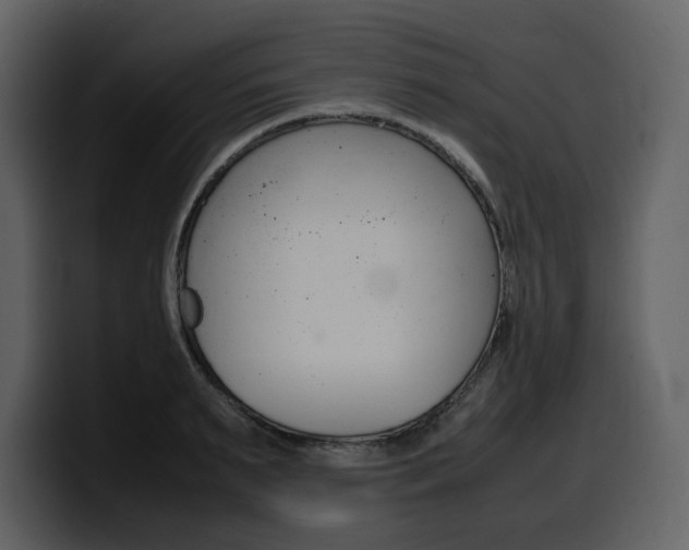 X0000099570895200805160723