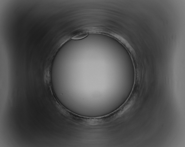 X0000099570897200805160723