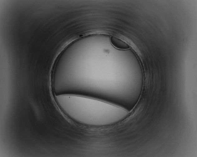 X0000099570898200805160723