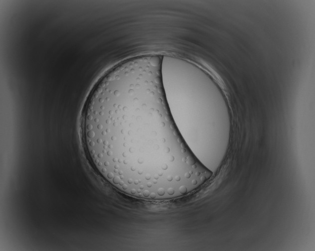 X0000099570899200805160723