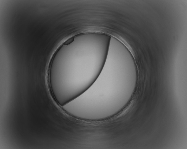 X0000099570901200805160723