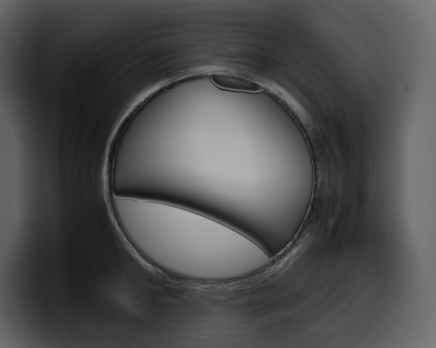 X0000099570902200805160723