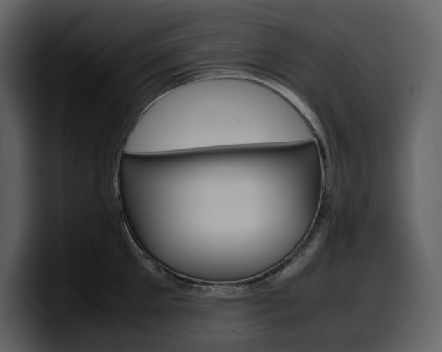 X0000099570905200805160723