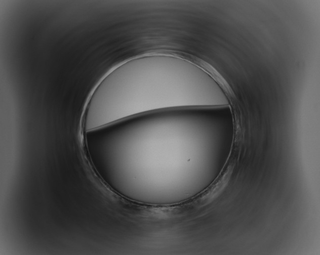 X0000099570908200805160723