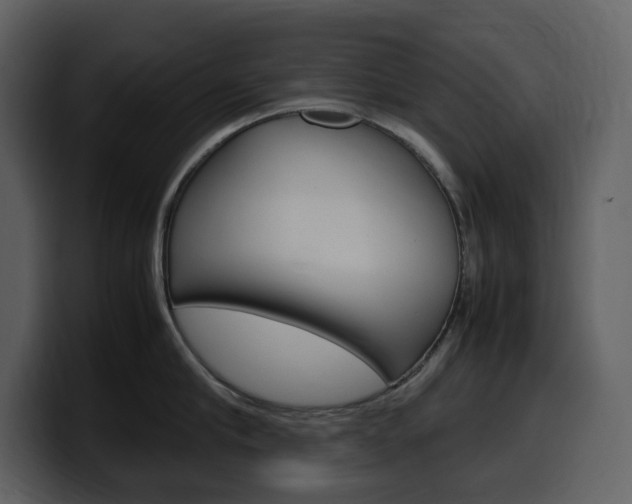 X0000099570910200805160723