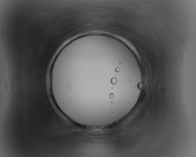 X0000099570911200805160723