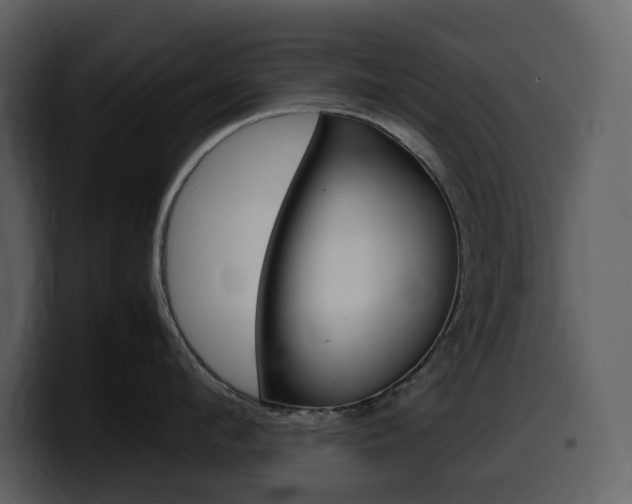 X0000099570912200805160723