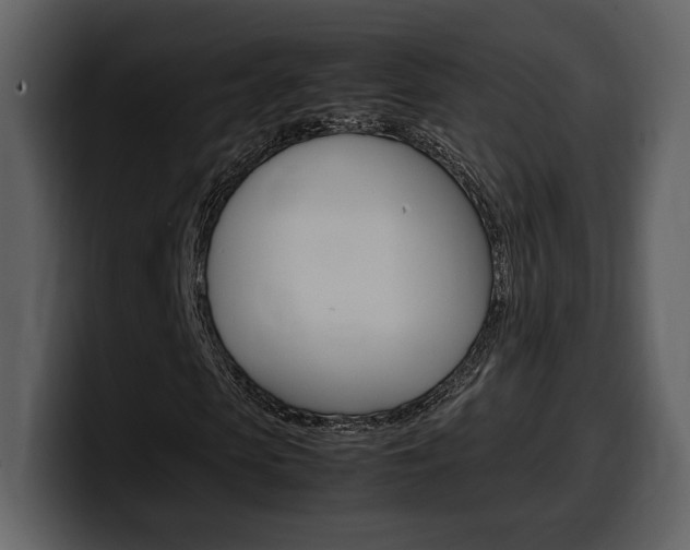 X0000099570913200805160722