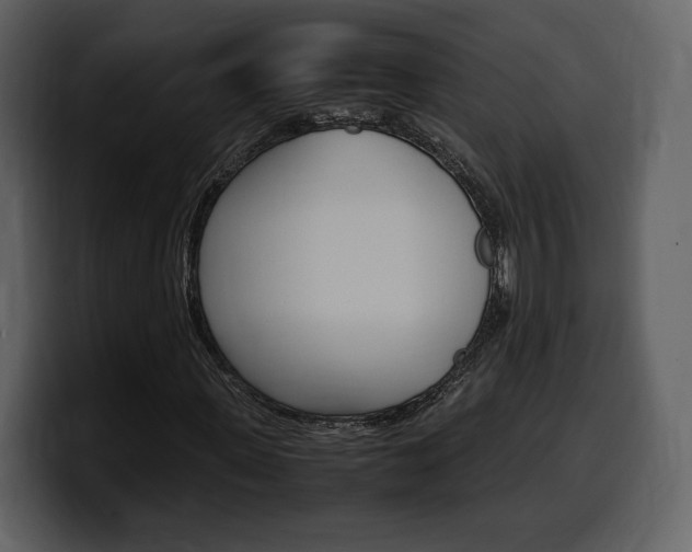 X0000099570915200805160723