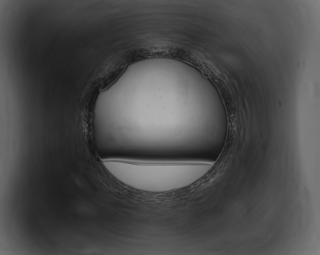 X0000099570916200805160723