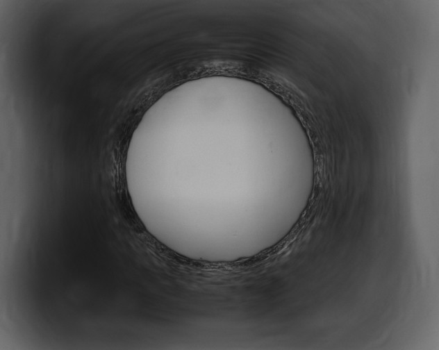 X0000099570917200805160723