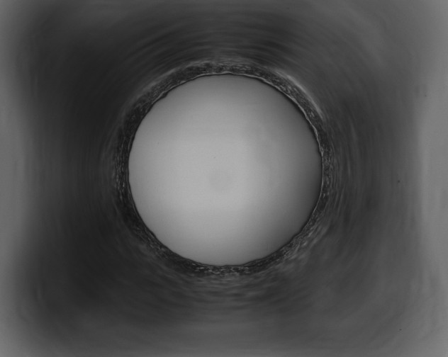 X0000099570919200805160723